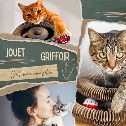 Soli™ - Le griffoir stimulant pour chat